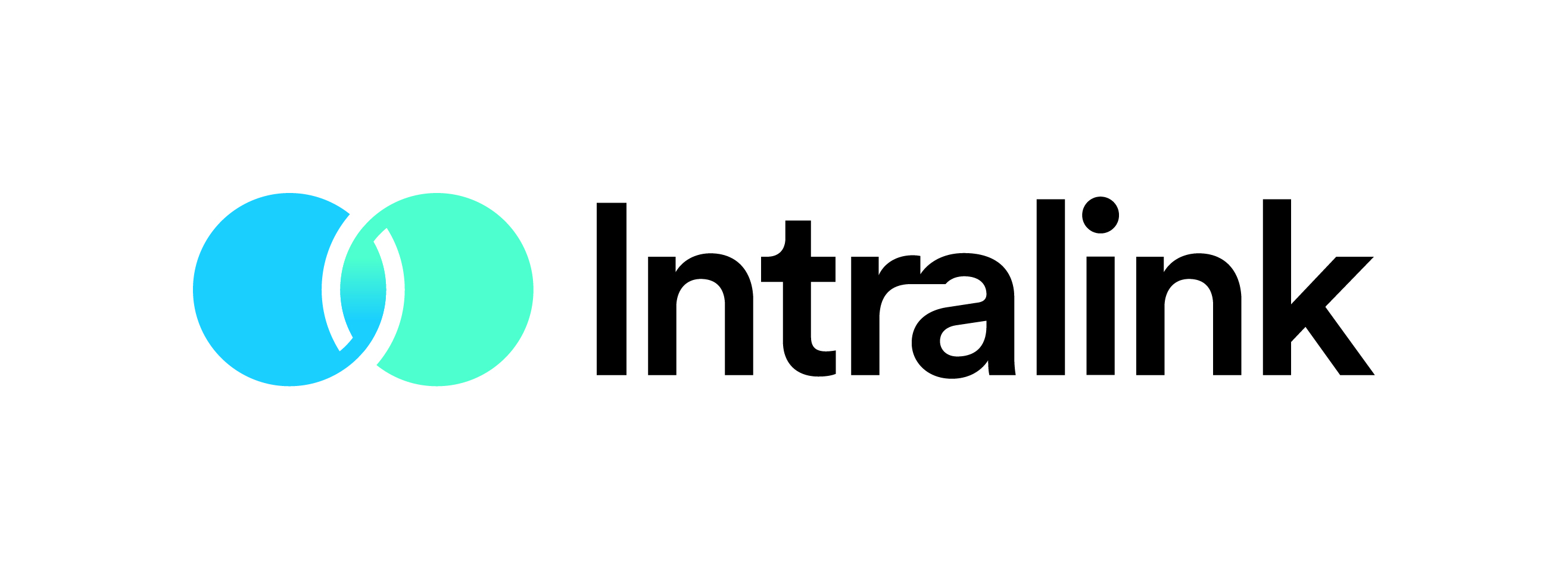 Intralink Korea Logo
