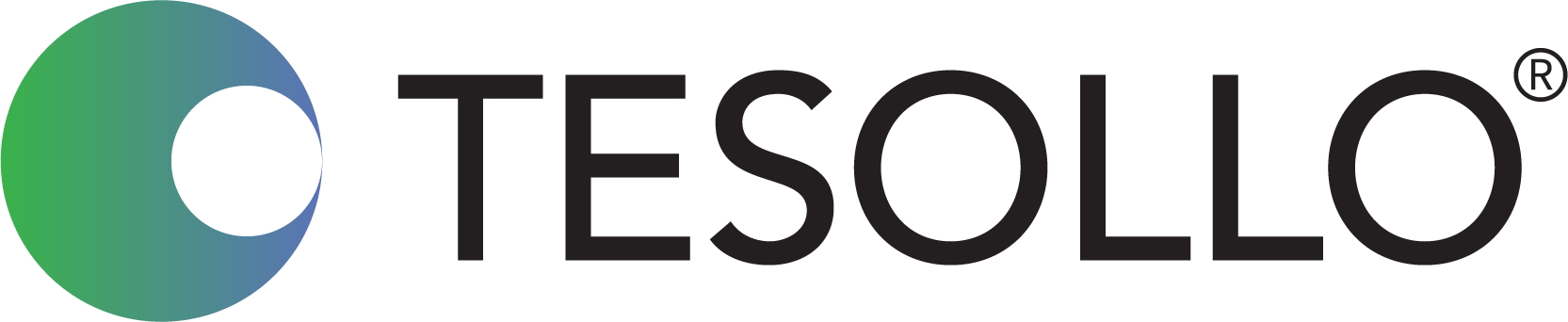 테솔로/ TESOLLO Logo