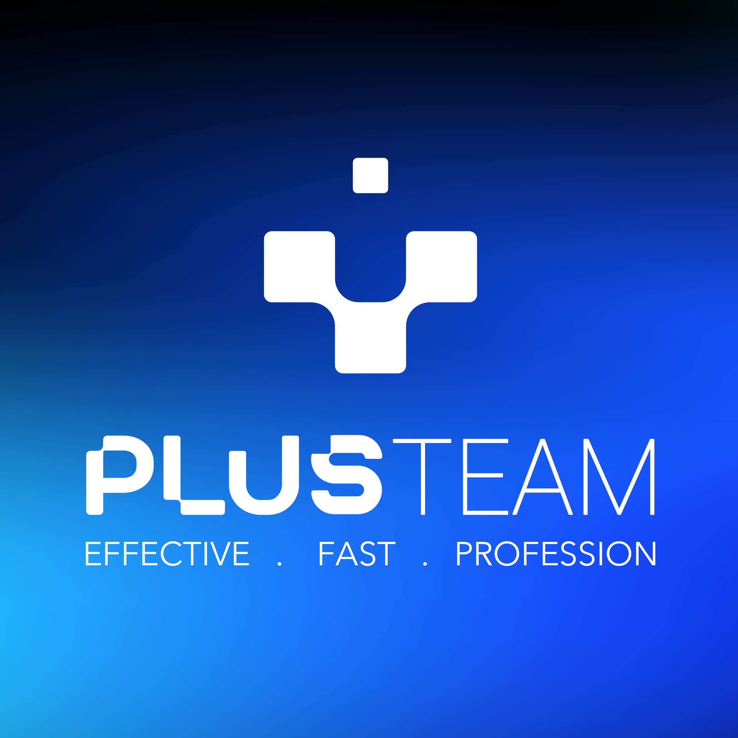 플러스팀 글로벌/ Plusteam Global Logo