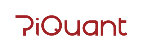 파이퀀트/ PiQuant Logo