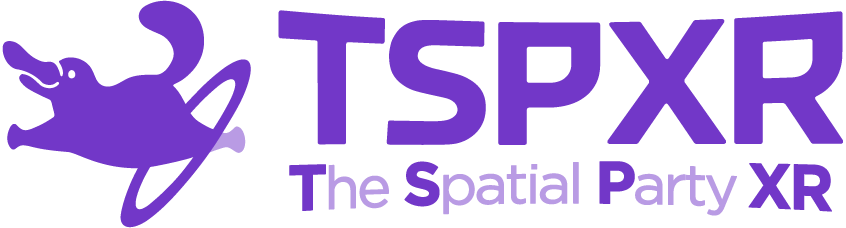 공간의파티/ TSP XR Logo
