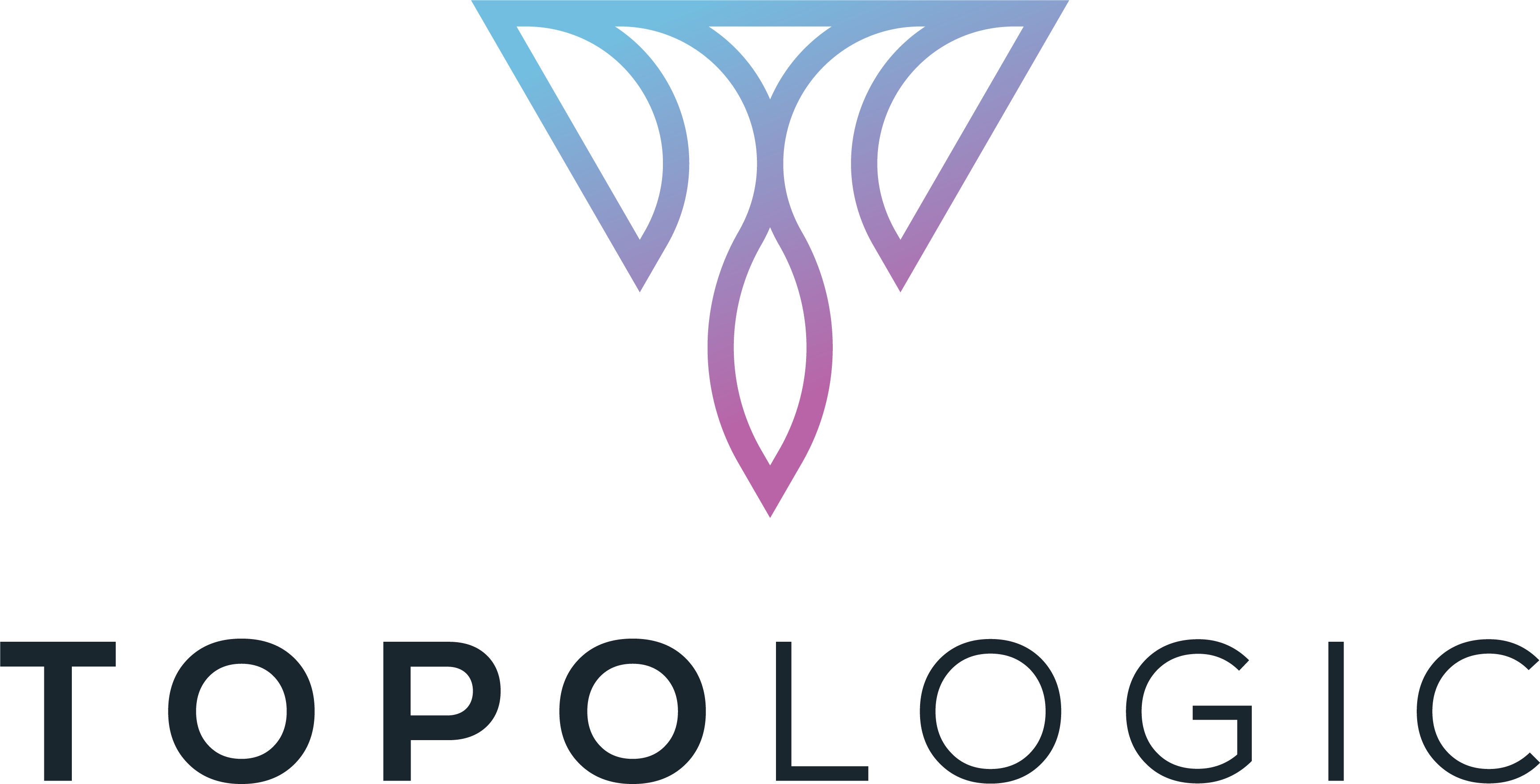 TopoLogic Logo