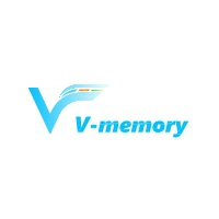 브이메모리/ Vmemory Logo