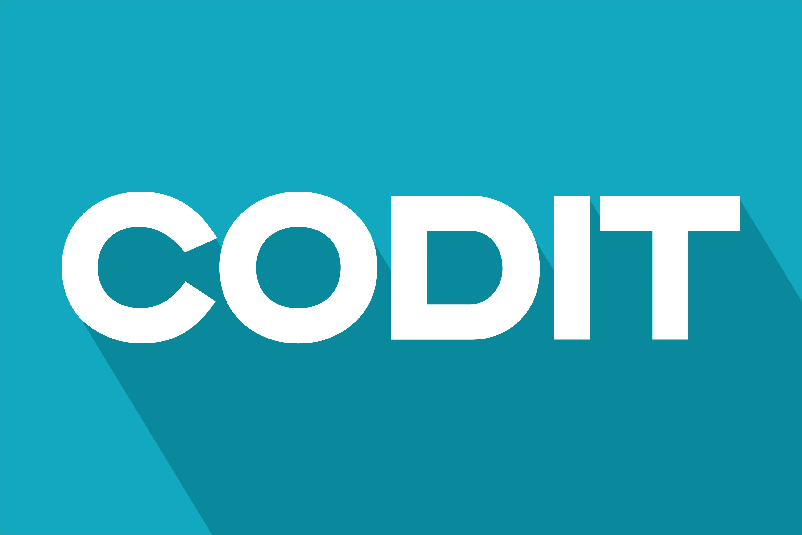 코딧/ CODIT Logo