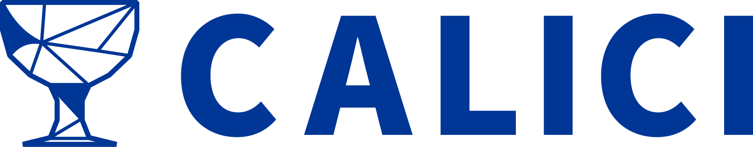 칼리시 Logo