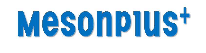 메손플러스/ Mesonplus Logo