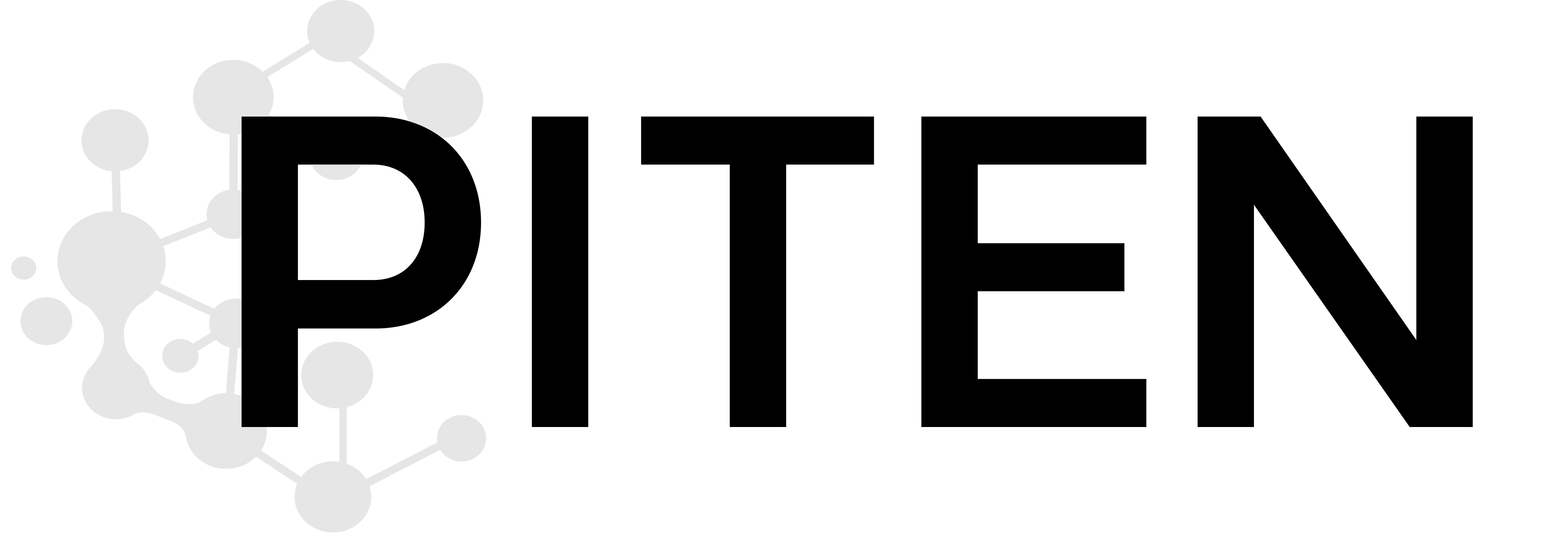 (주)피텐 Logo