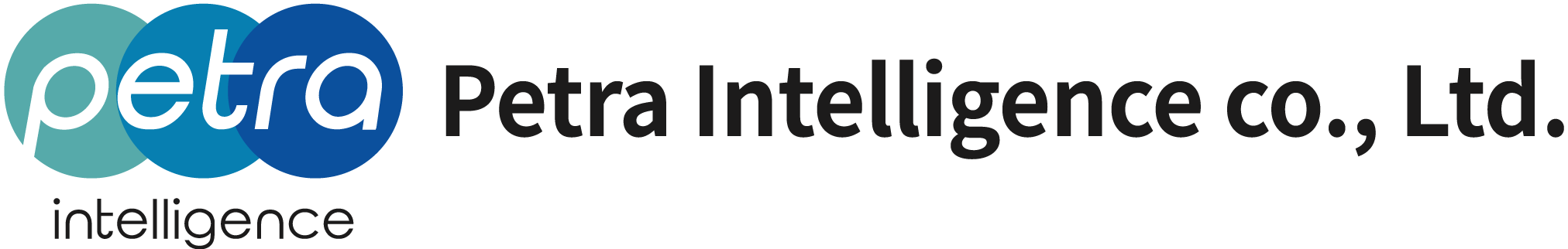 페트라인텔리전스/ Petra Intelligence Logo