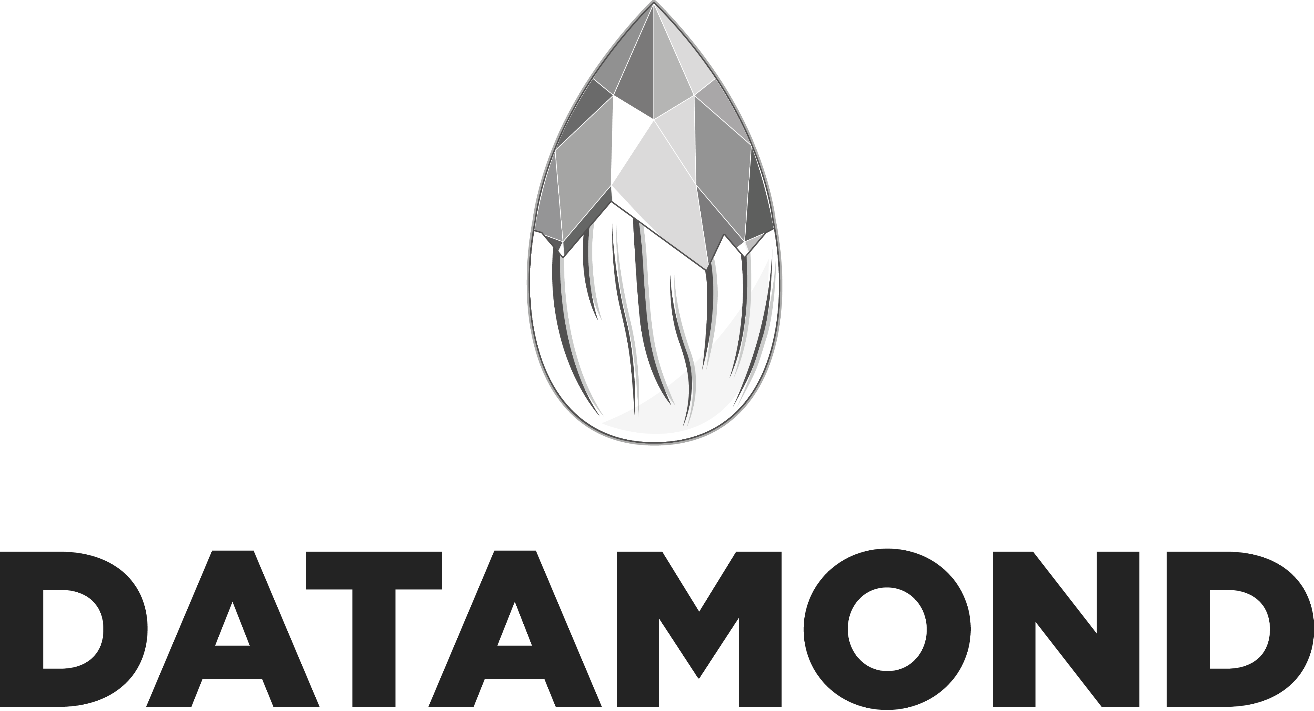 주식회사 데이타몬드 Logo