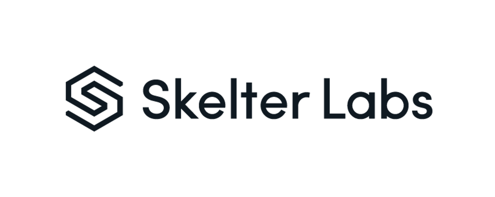 스켈터랩스/ Skelter Labs Logo